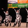 IMG_6384